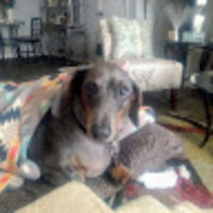 Meet your Posher, Steven